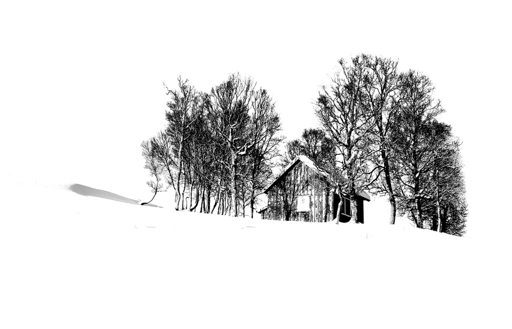 High key, foto: Widar Olse. Tema i desember: High key