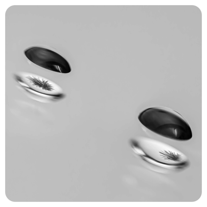 Reflection, Trygve Selmer, 3. plass
