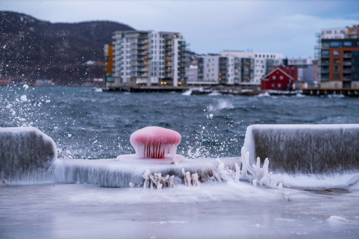 Vinner månedens bilde i november. Foto: Christine Larssen. Tittel: Vinterstorm i byen