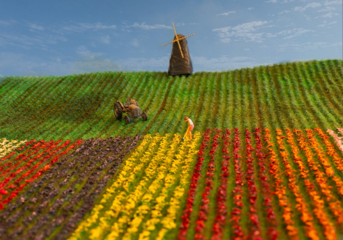 Vinner månedens bilde i mars Foto: Mette Eide Tema: Kreativt Tittel: Tulipanåkeren i Aipotu