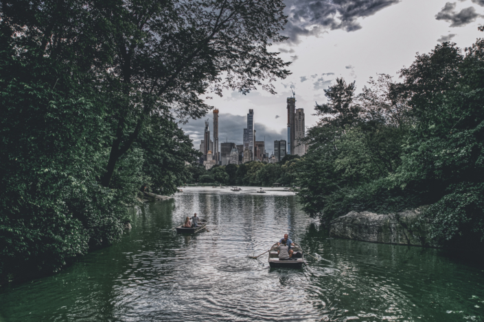 Vinner månedens bilde i mai Foto: Patty Thorbergsen Tema: Urban natur Tittel: Nature in NYC