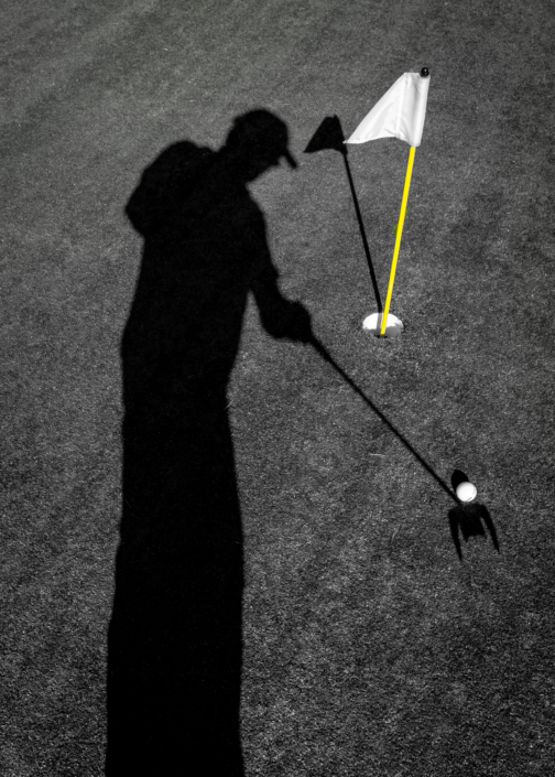 Årets fotograf, runde 2 2024 - Birdie, Torbjørn Sundheim, 1. plass