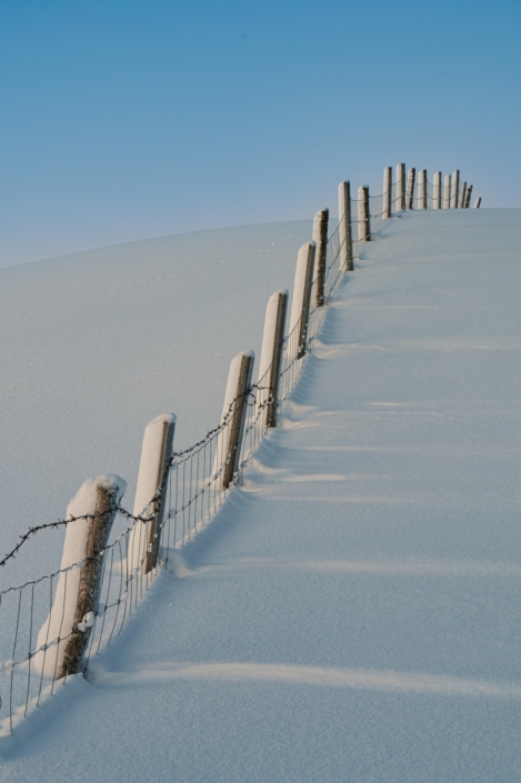 Vinner månedens bilde i februar Foto: Leif Skoglund Tema: Frost Tittel: Vindens skygger i mørketida
